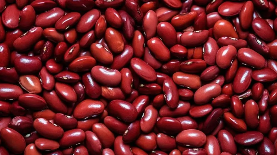 Фасоль x4 — продукт внутри